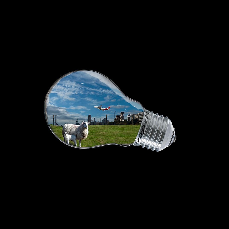 planet, spherical, environment, technology, energy, sheep, sky HD wallpaper