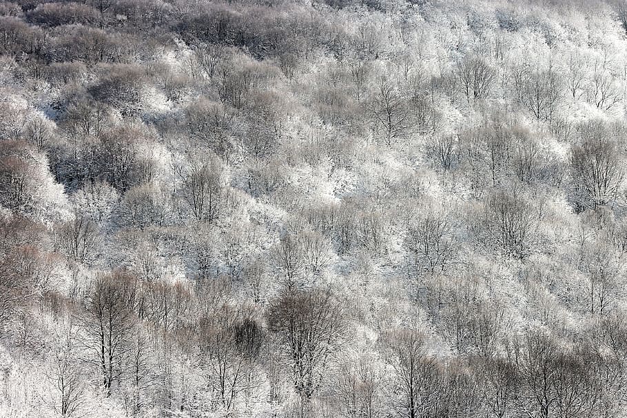 sample, structure, background, landscape, nature, winter, snowy landscape HD wallpaper