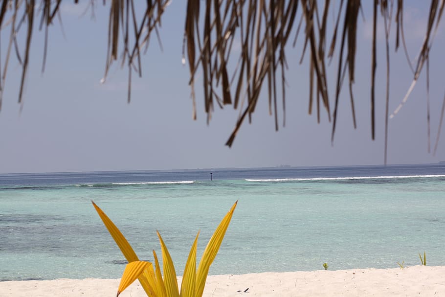 sea, sand, beach, wind, summer, holidays, sand beach, water HD wallpaper