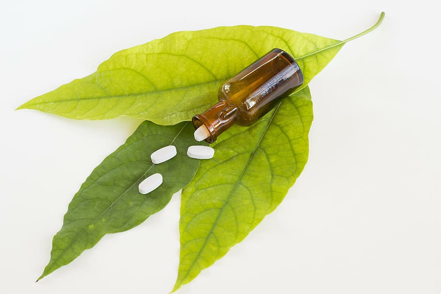 four white medicine pills on green leaves, medical, drug, leaf