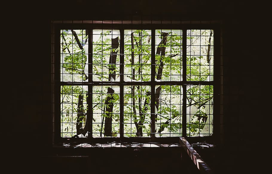 brown metal window grill, green leafed tree, frame, dark, broken window
