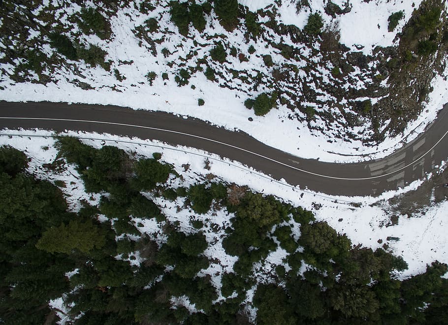 bird's-eye view photography of road, aerial view of road beside trees HD wallpaper