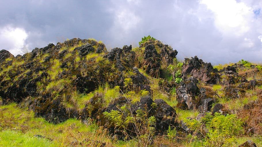 mountains, peaks, greenery, flora, vegetation, plants, leaves HD wallpaper