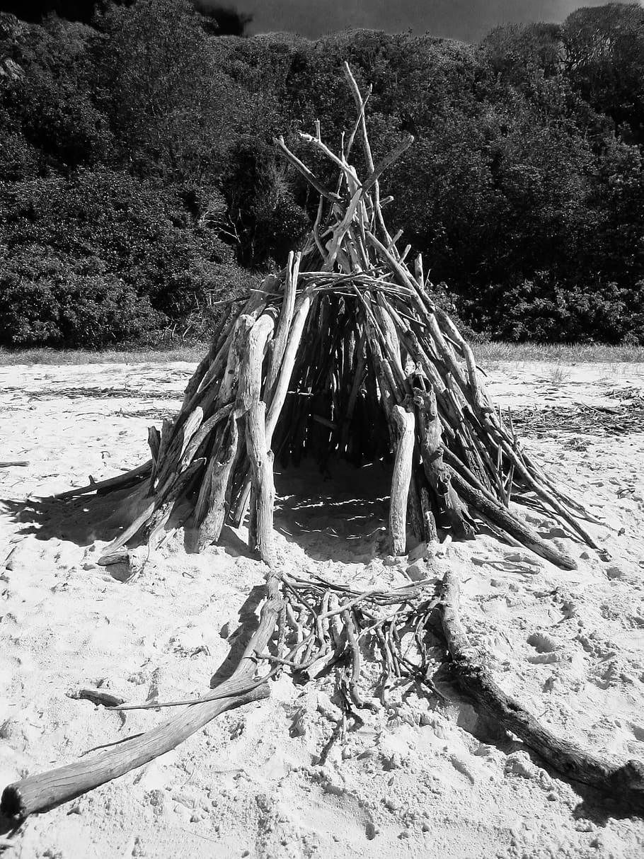 Twig Tent on Seashore, adventure, environment, forest, island HD wallpaper