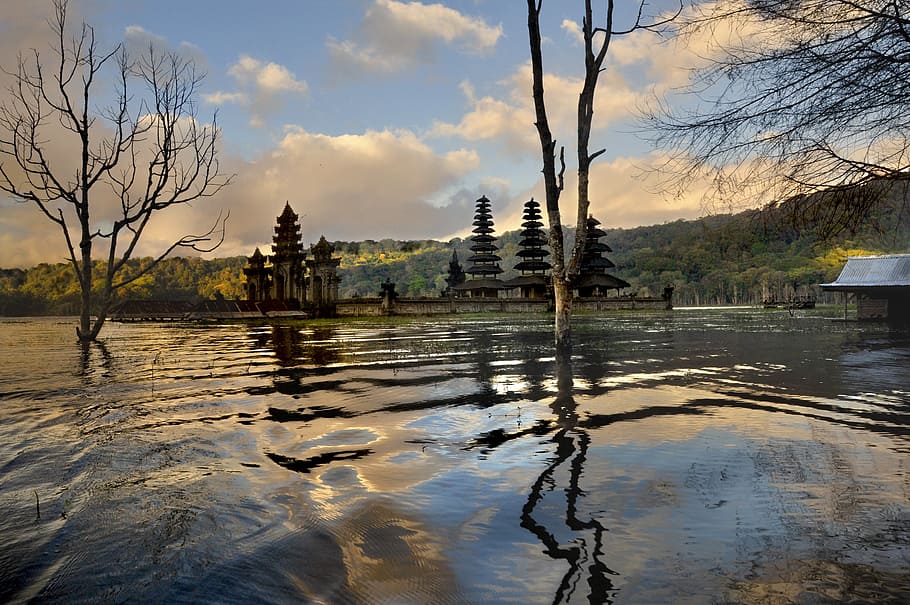 water, tree, mood, panorama, rest, mirroring, sky, swamp, moor HD wallpaper