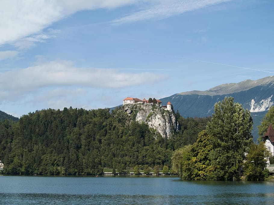 Bled, Castle, Slovenia, Forest, Lake, europe, tree, mountain HD wallpaper