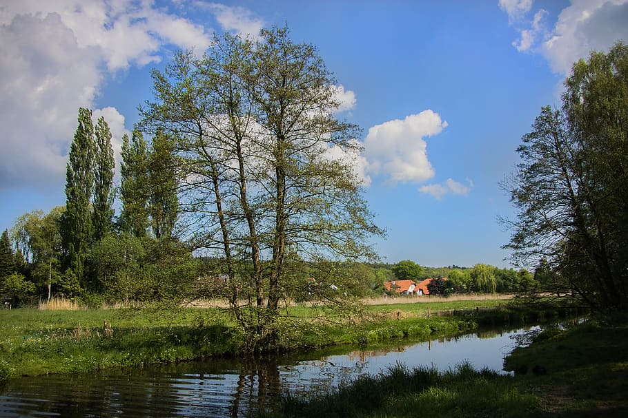 landscape, sky, clouds, plant, nature, green, walk, hiking HD wallpaper