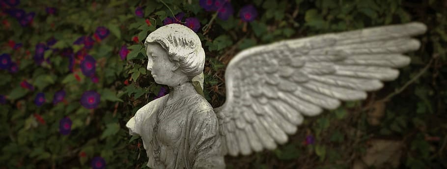 Statue, Torso, Wing, Angel, focus on foreground, outdoors, no people HD wallpaper