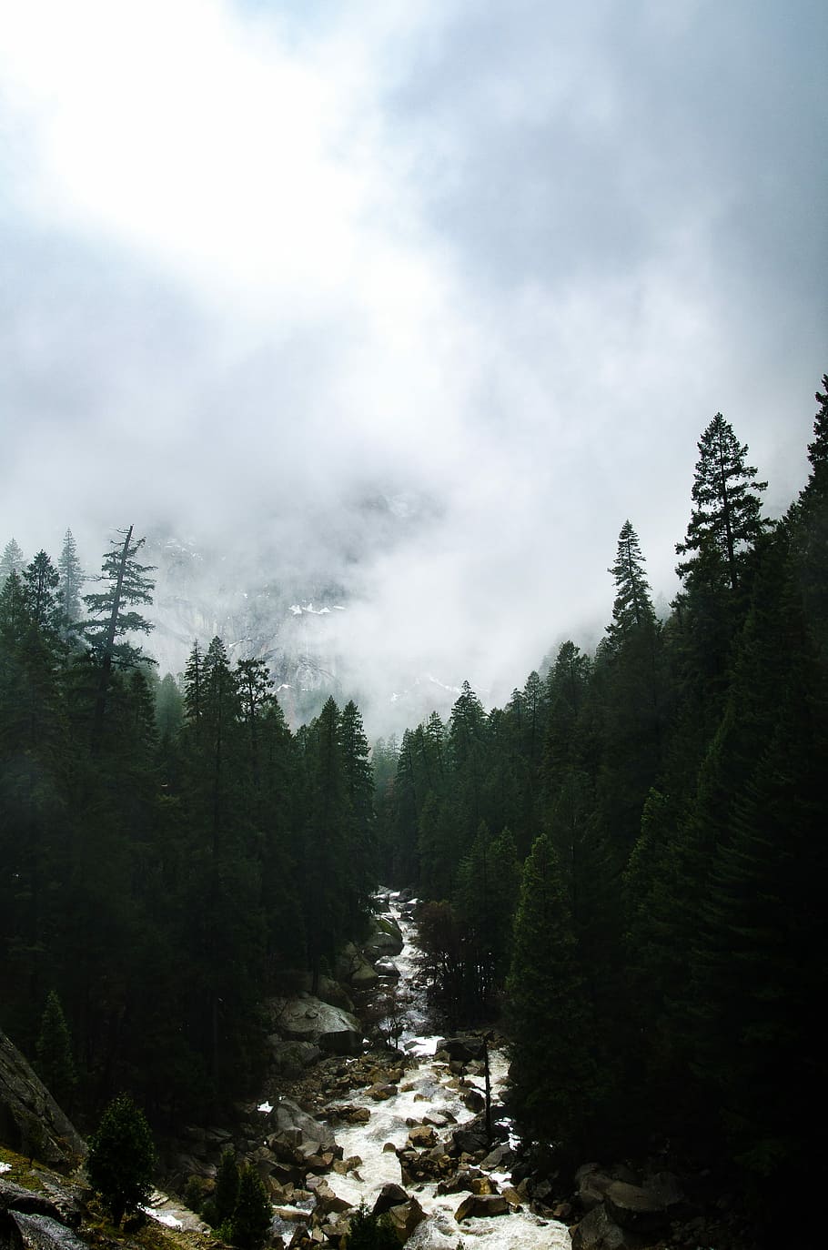 green leafed trees and body of water during daytime, river in between green trees under white clouds during daytime HD wallpaper