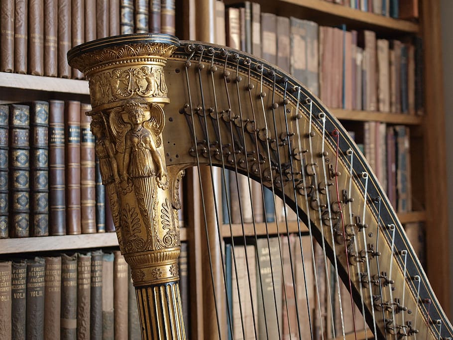 harp, music, library, architecture, built structure, no people, HD wallpaper