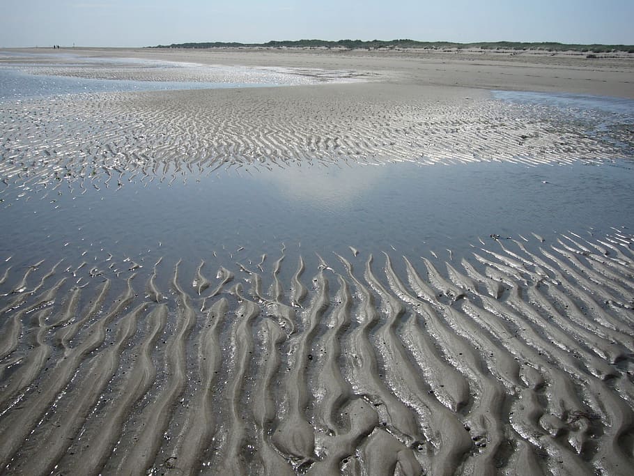 Ridge, Pattern, summer beach, sandrippel, ocean floor, symmetrical HD wallpaper