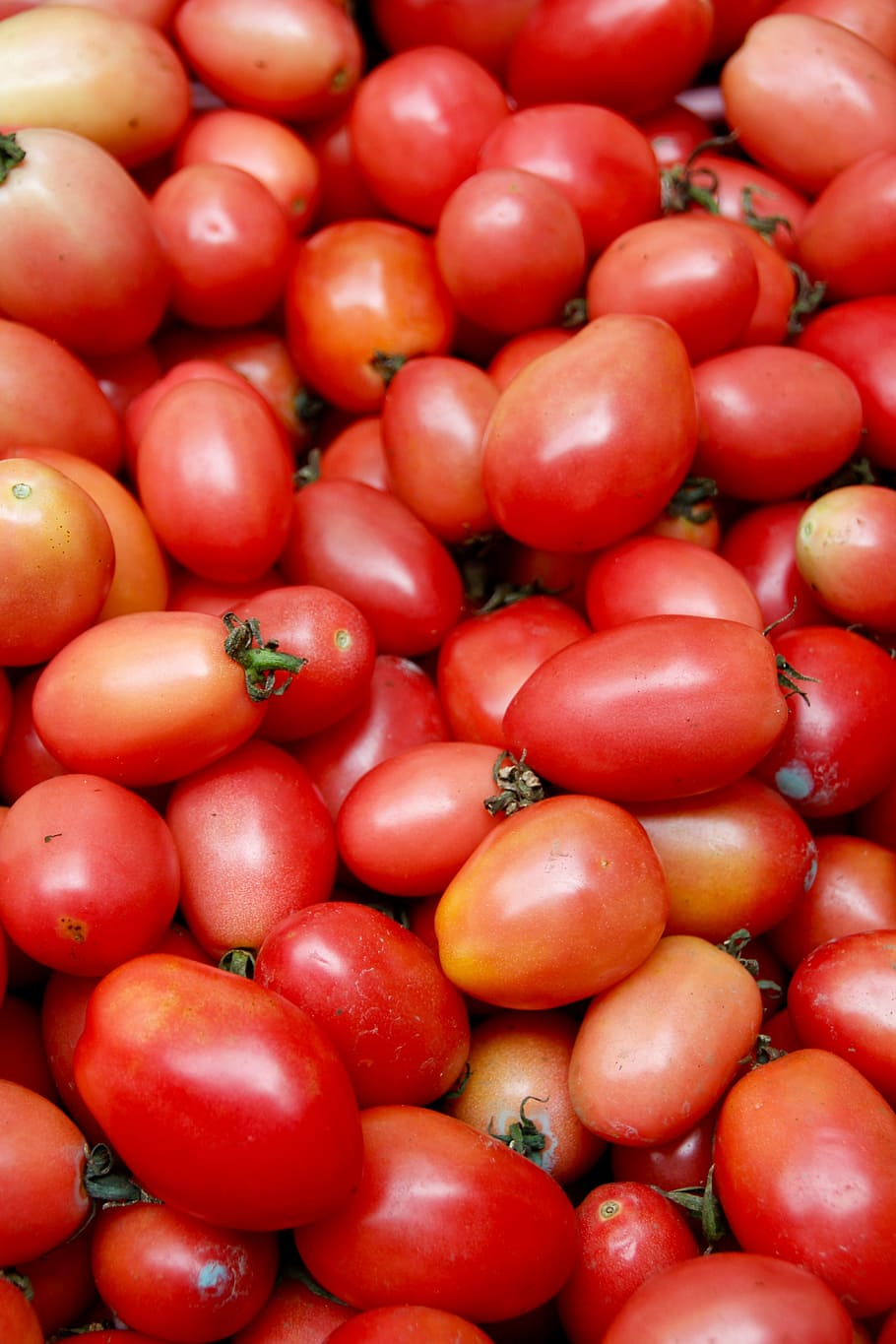 fruits, vegetables, tomatoes, delicious, market, purchasing HD wallpaper