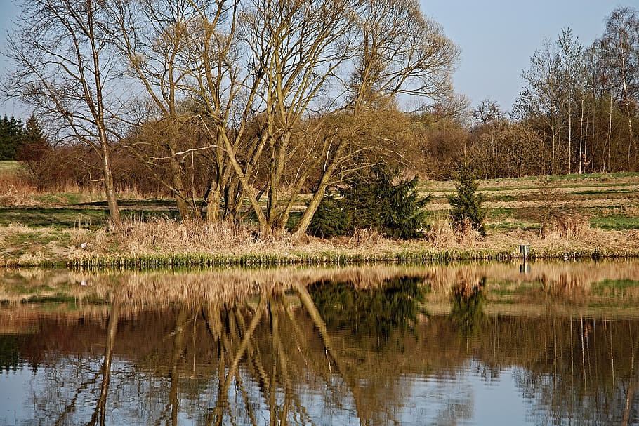 pond, surface, reflection, trees, edge of the pond, ledenice HD wallpaper