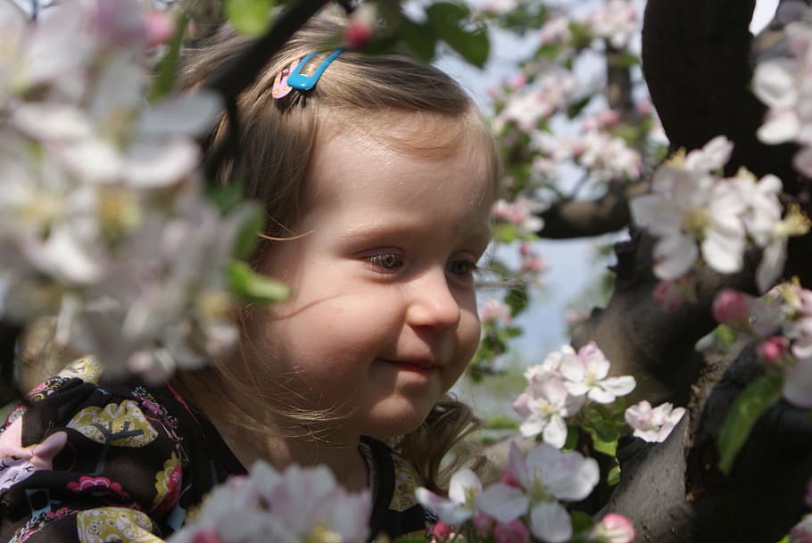 spring, child, joy, tree, flower, childhood, portrait, flowering plant HD wallpaper