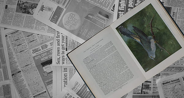 book, bird, cuckoo, background, print, header, banner, text HD wallpaper