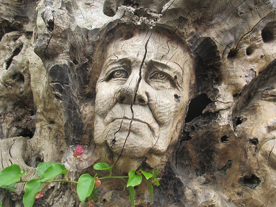 face, wood carving, expression, representation, art and craft HD wallpaper
