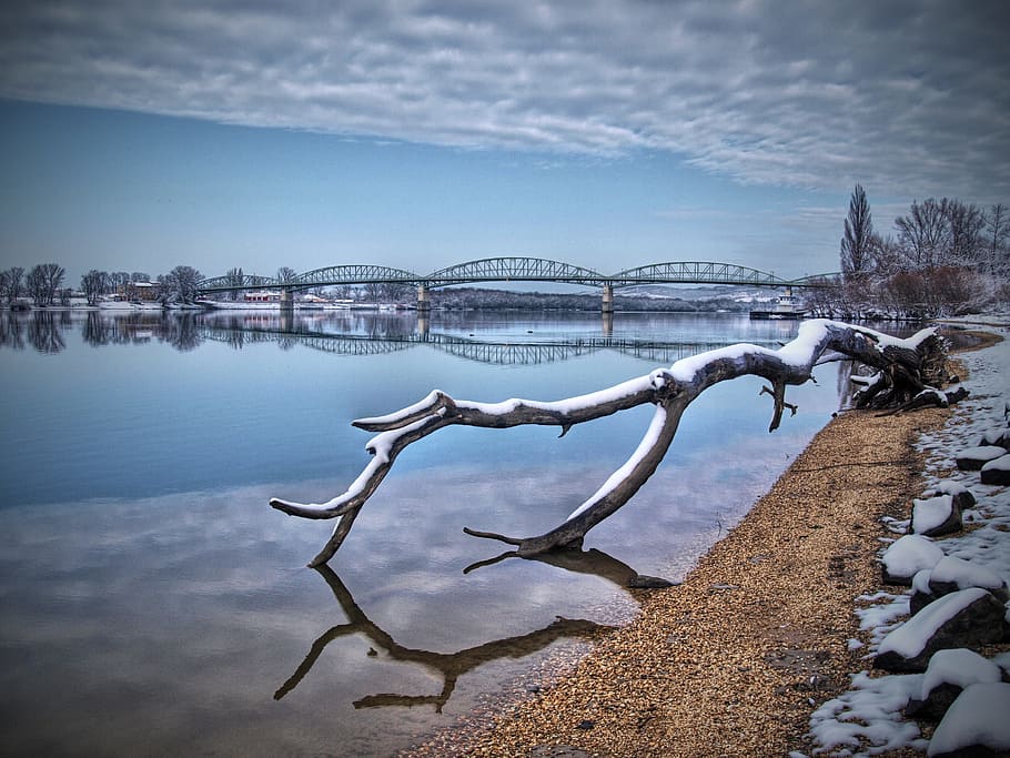 the danube, reflection, winter, bridge, štúrovo, water, cold temperature HD wallpaper