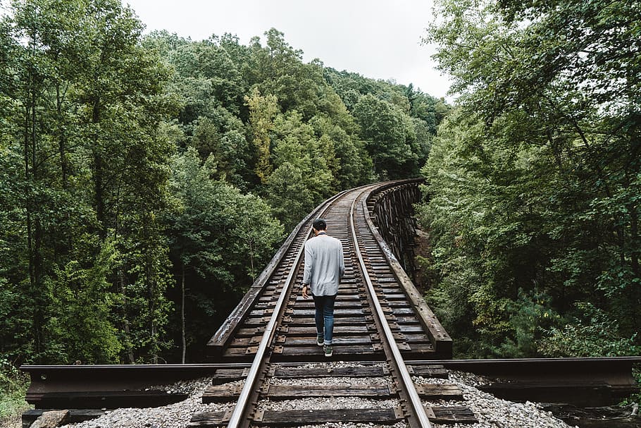people, man, alone, walking, travel, trees, green, plant, nature HD wallpaper