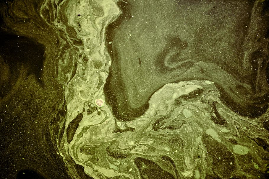 gray artwork, water, dirty, green, pattern, nature, close-up HD wallpaper