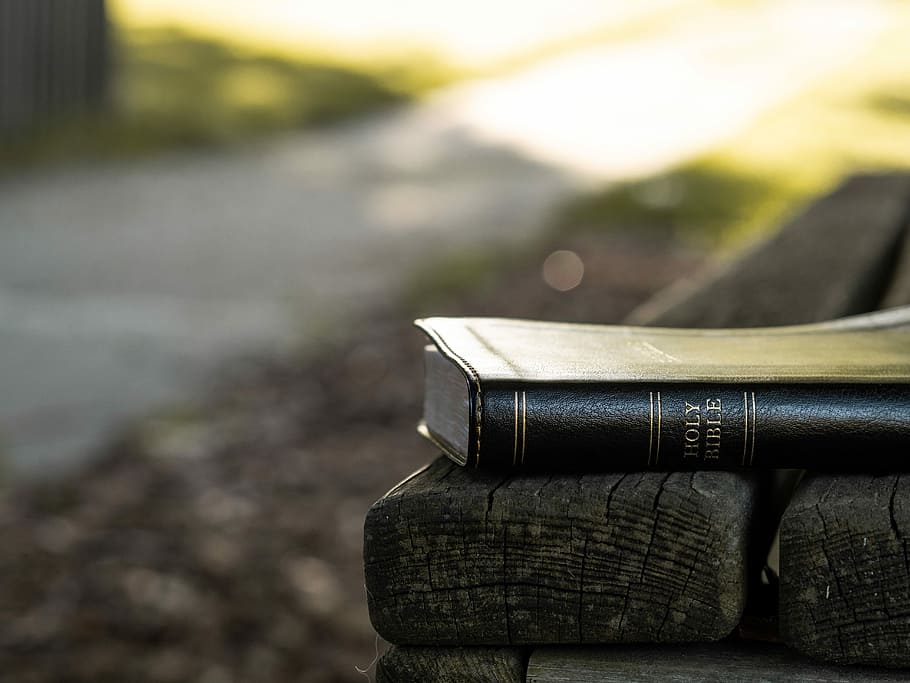 Holy Bible on black wooden bench, Holy Bible on brown wooden bench HD wallpaper