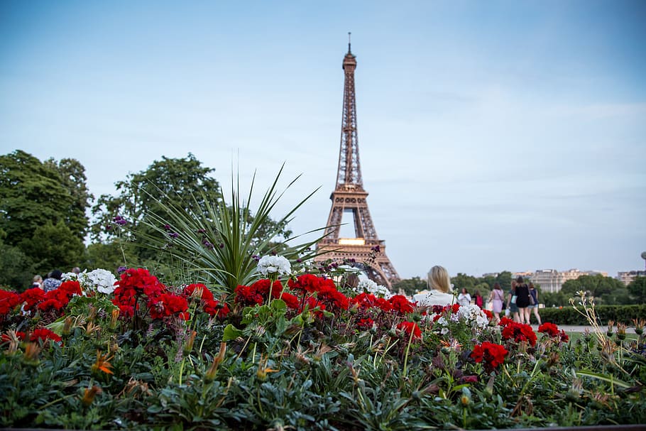 Eiffel tower background 1080P, 2K, 4K, 5K HD wallpapers free download