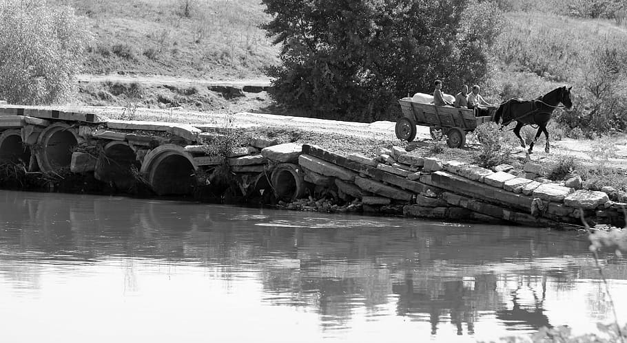 Cart, Bridge, Reflection, Water, Rural, horse, animal themes HD wallpaper