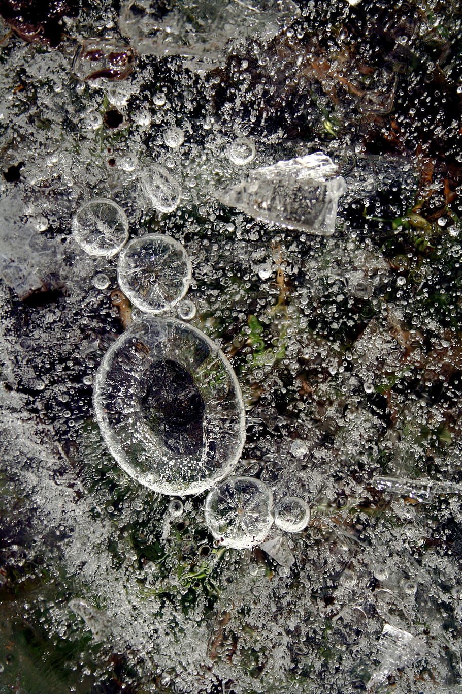 ice, bubble, water, cold, cool, frozen, abstraction, macro HD wallpaper