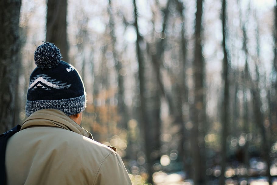 person facing trees, person on forest, hat, bobble, coat, jacket HD wallpaper