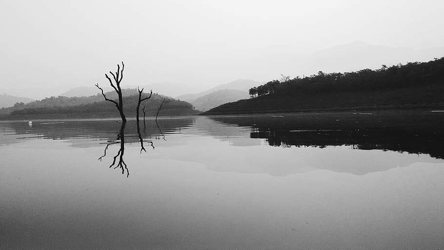 lake, black, white, water, reflection, tranquility, tranquil scene HD wallpaper