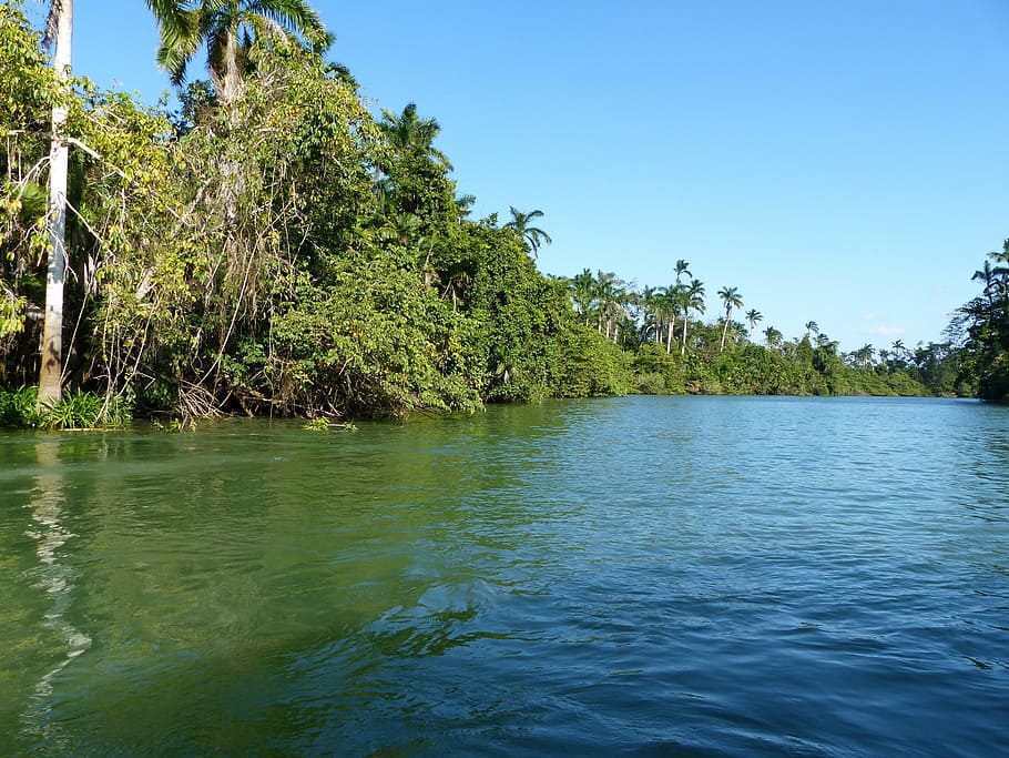 belize, river, rainforest, jungle, boot, nature, tropical, central america HD wallpaper