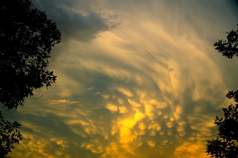 sky, clouds, angry, stormy, scenic, tree, cloud - sky, plant HD wallpaper