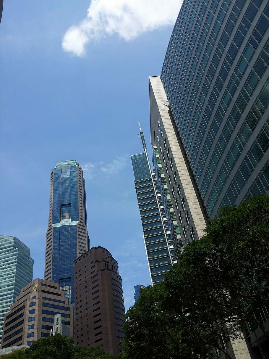 low angle photo of white and gray high-rise building, skyscraper HD wallpaper