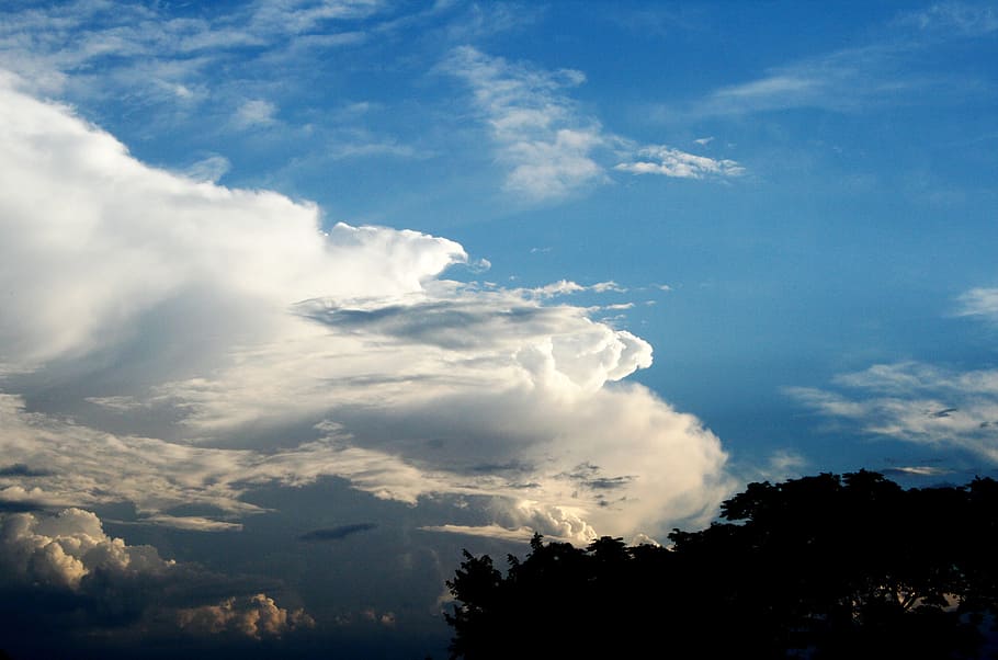 clouds, bank, white, solid, sky, blue, trees, cloud - sky, beauty in nature HD wallpaper