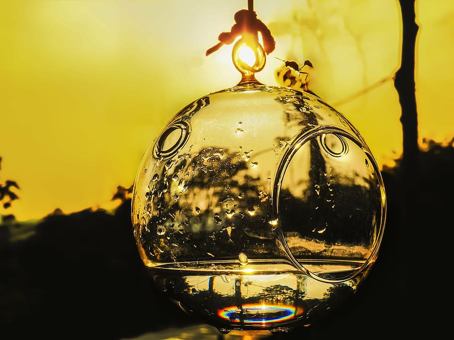 dusk, water, sunset, reflection, evening, water reflect, insect HD wallpaper