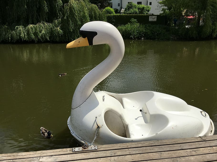 swan, boot, rowing boat, river, altmühl, eichstätt, water HD wallpaper