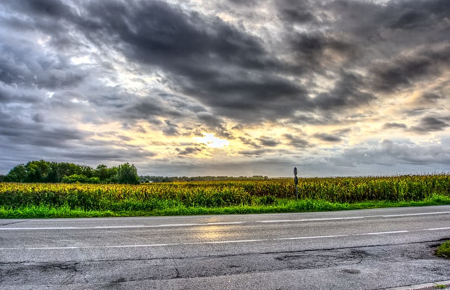landscape, clouds, drama, sky, road, sun, dark clouds, corn HD wallpaper