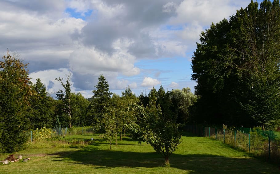 green, tree, garden, plant, cloud - sky, grass, nature, green color HD wallpaper