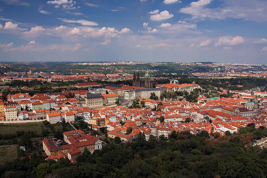 prague, czech, hradcany, view, castle, cathedral, vltava, bridge, HD wallpaper