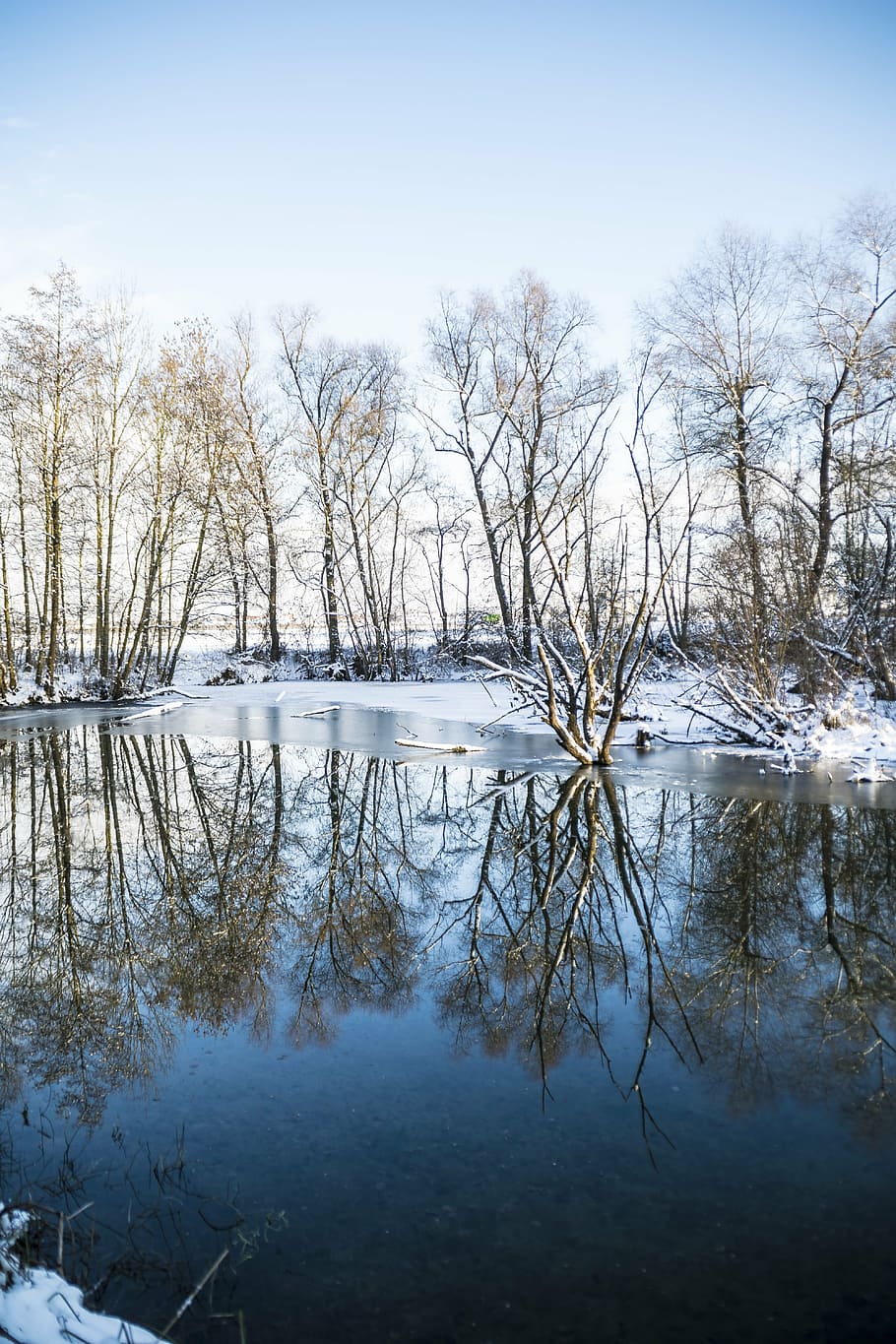 winter, mirroring, trees, water, snow, nature, pond, hoarfrost HD wallpaper
