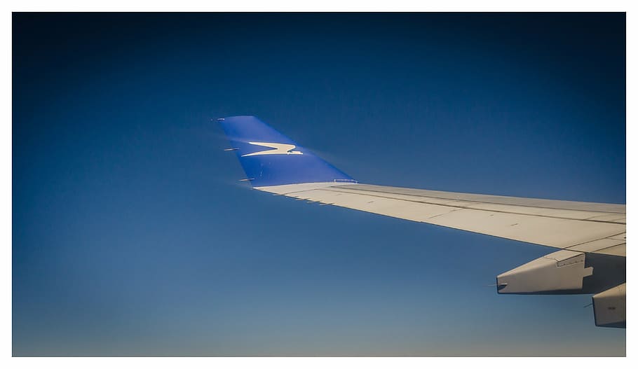 wing, plane, flight, sky, blue, fly, aircraft, travel, air vehicle HD wallpaper