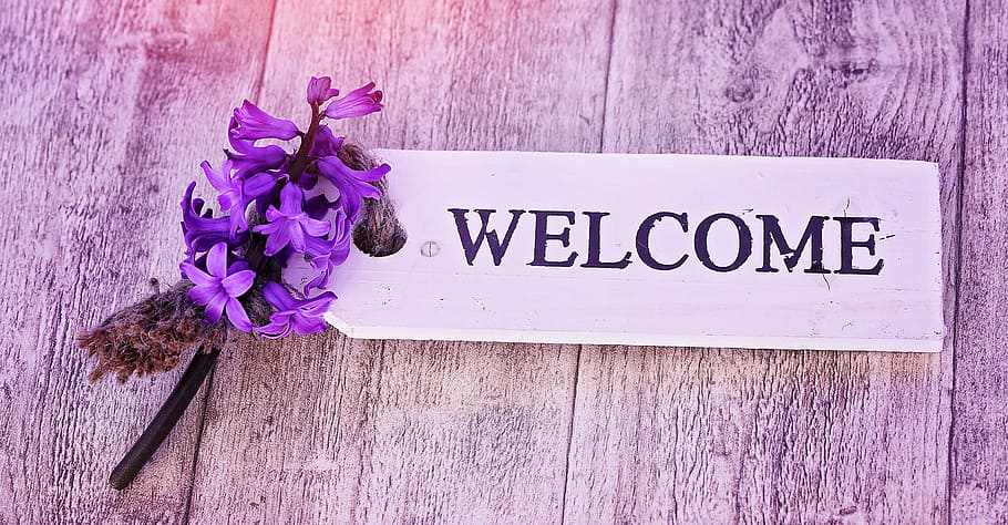 HD wallpaper: purple hyacinth beside welcome signage, signboard, flower,  fragrant flower | Wallpaper Flare
