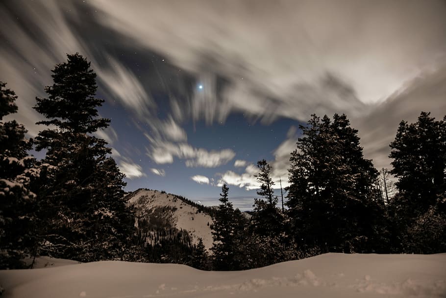 trees overlooking snow capped mountain in time lapse photography, green leafed trees near gray mountain HD wallpaper