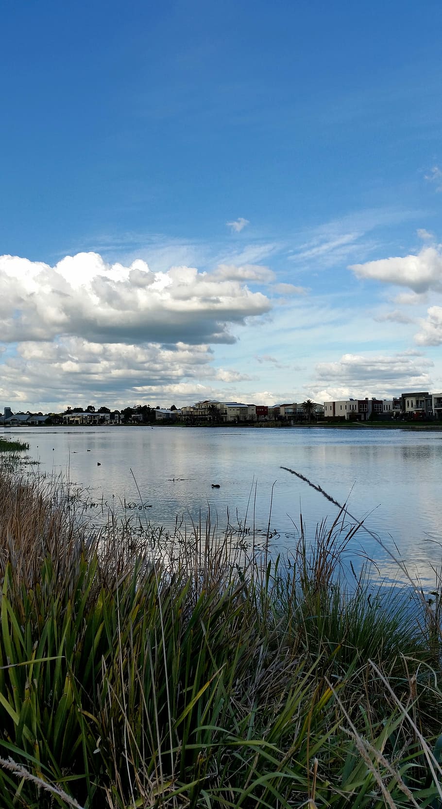 Urban, Suburban, Lakeside, Lake, Housing, sky, clouds, reflections, HD wallpaper
