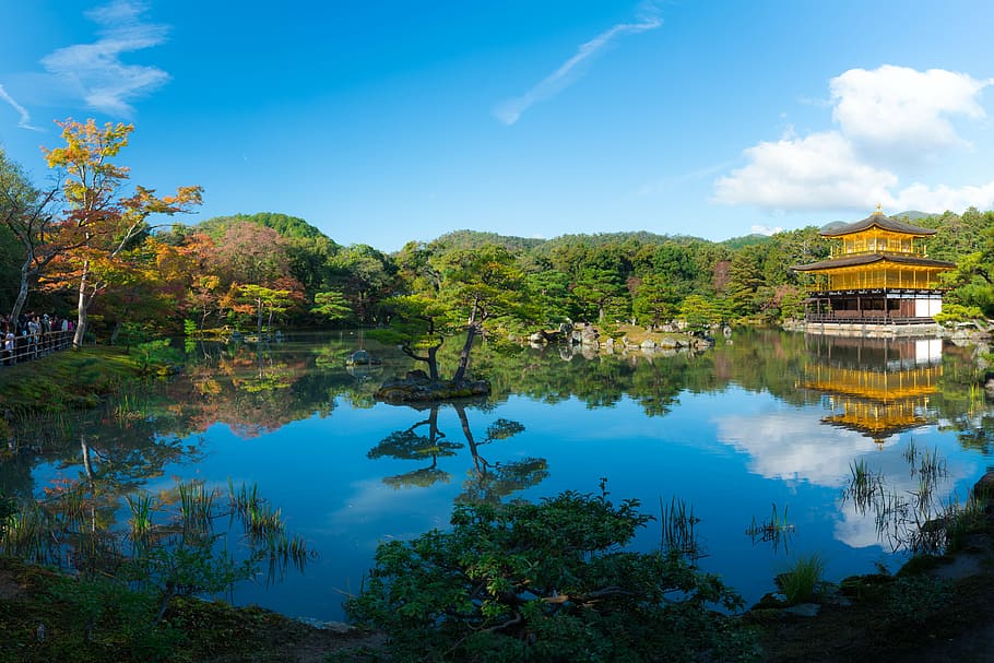 brown cabin beside pond aerial photo, golden, pavilion, japan, HD wallpaper