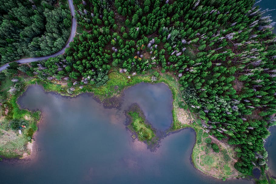aerial photography of body of water near forest with winding road, aerial view of land covered with green trees HD wallpaper