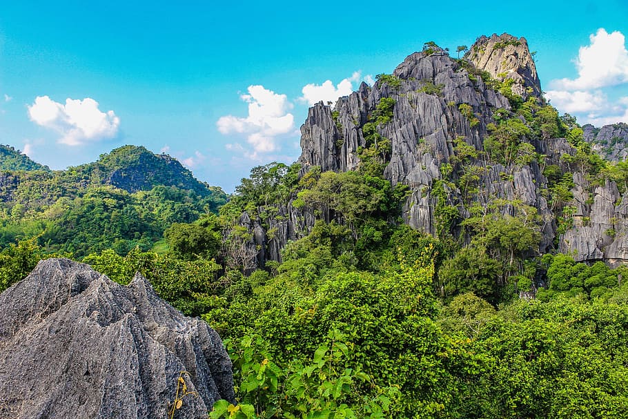 Photography of Mountain Covered With Trees, adventure, beautiful HD wallpaper
