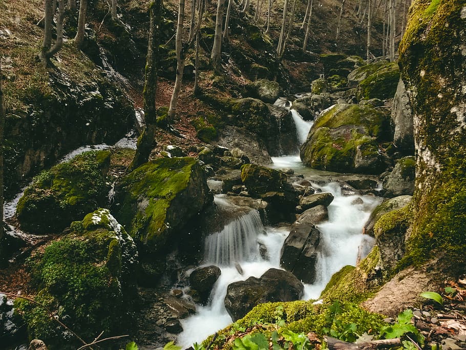 water, mountain, river, stream, rocks, moss green, forest, snow HD wallpaper