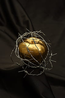 gold-colored Apple fruit with gray wire, barbed wire, dea, metal HD wallpaper