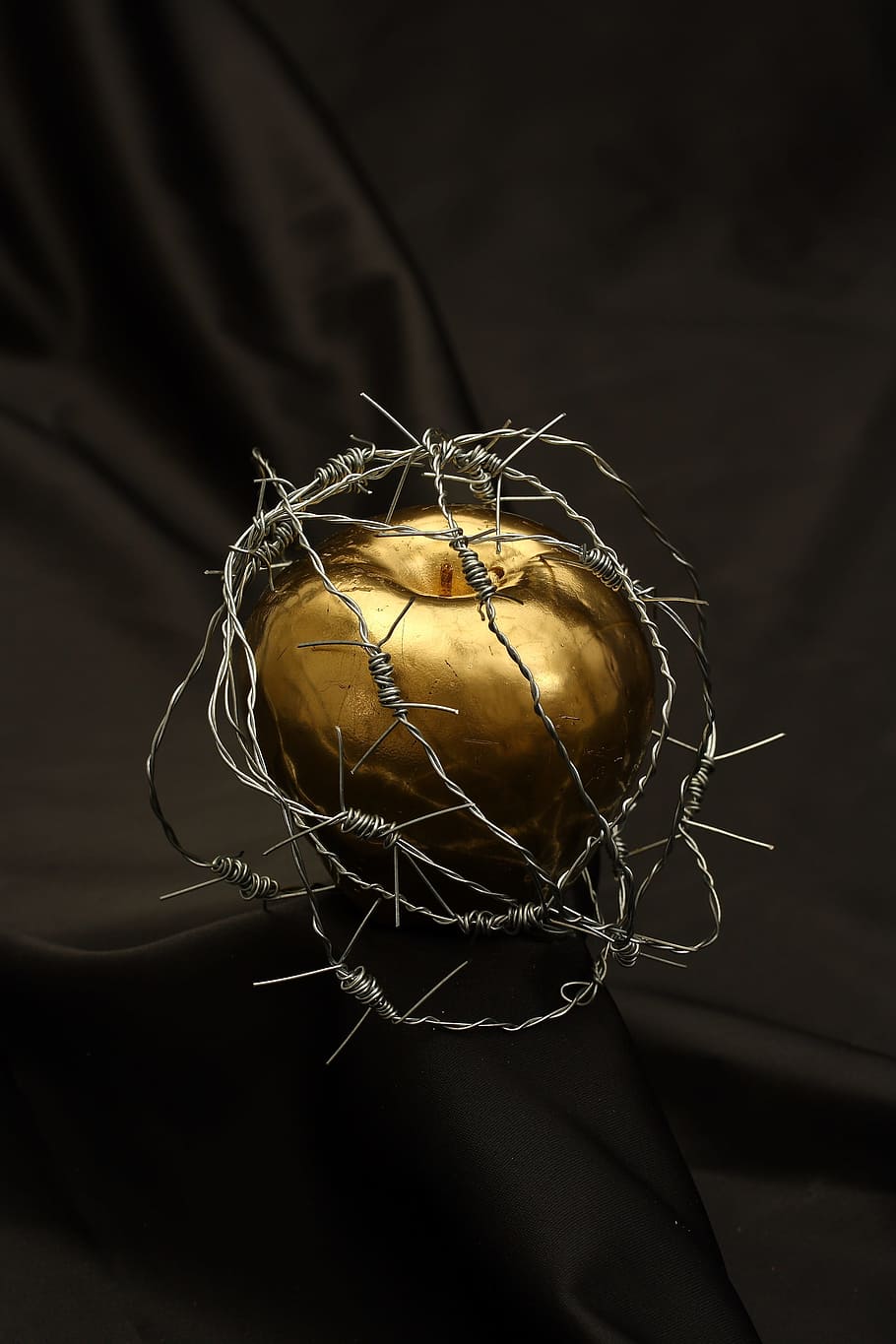 gold-colored Apple fruit with gray wire, barbed wire, dea, metal HD wallpaper