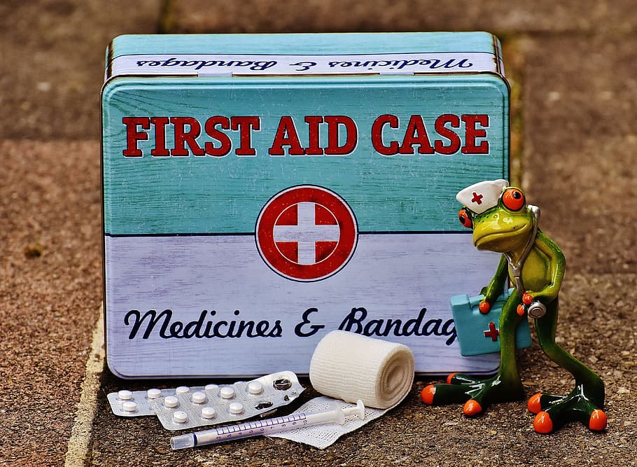 frog in front of first aid case illustration, medic, nurse, funny, HD wallpaper